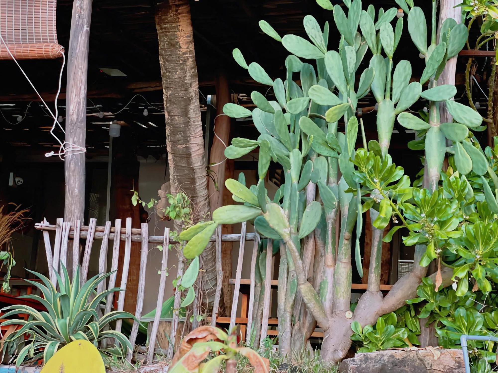 Soho 1 Phu Quoc Apartment ภายนอก รูปภาพ